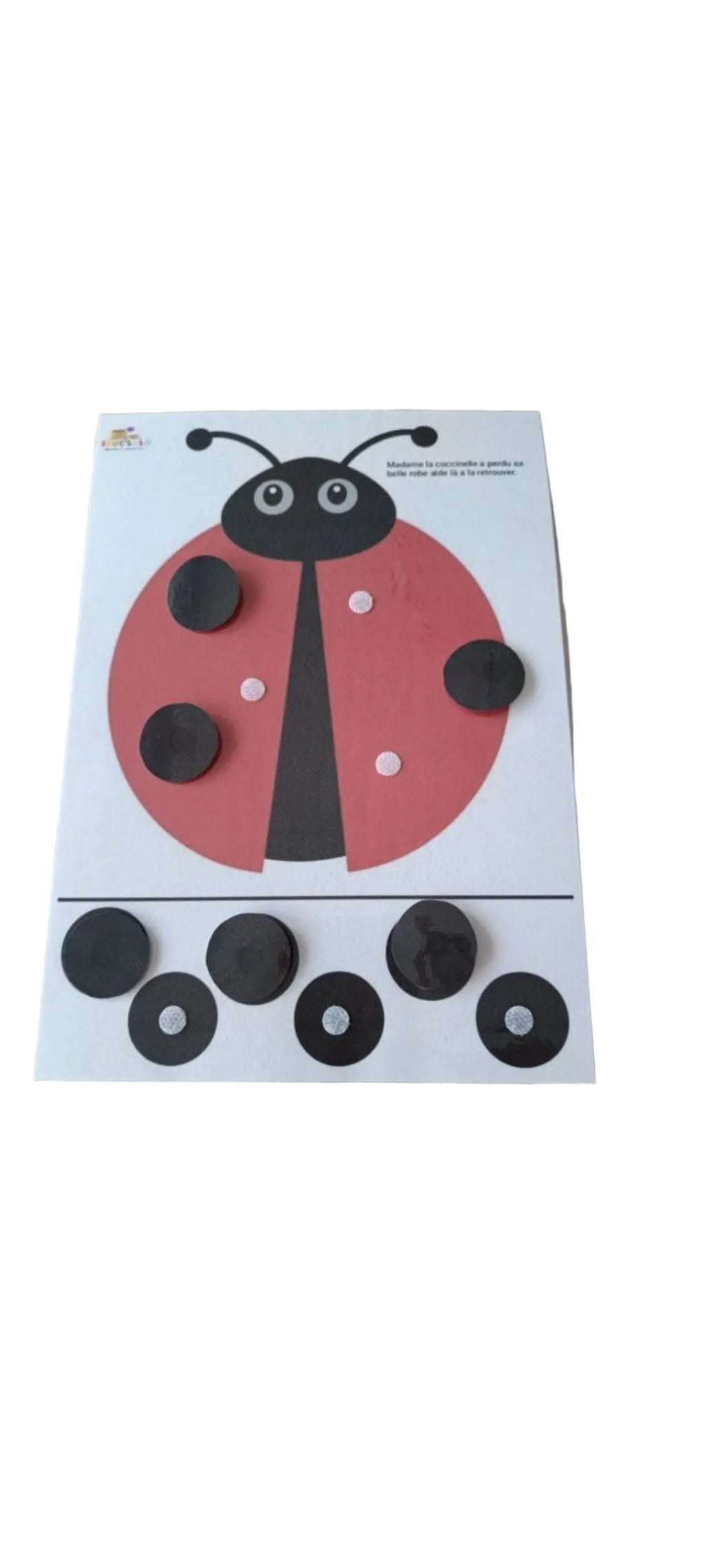 La coccinelle 🐞