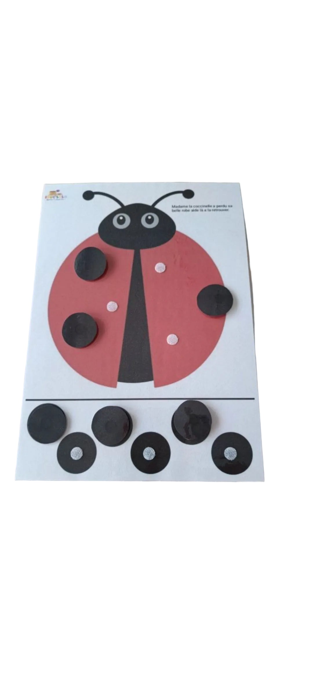 La coccinelle 🐞