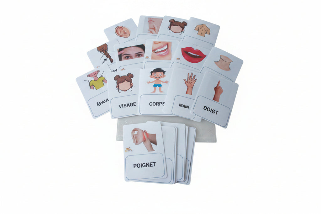 Cartes du corps humain