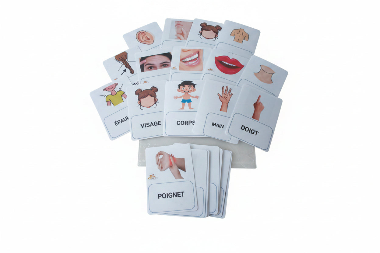 Cartes du corps humain