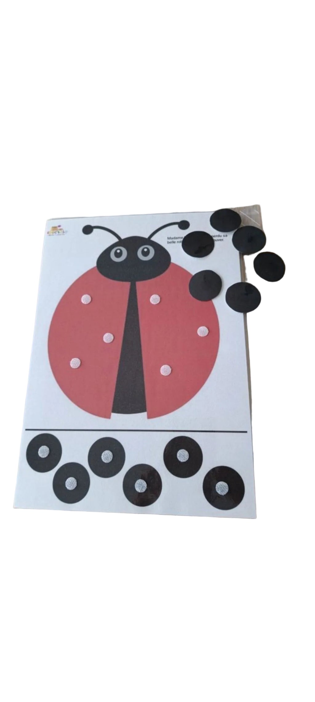 La coccinelle 🐞
