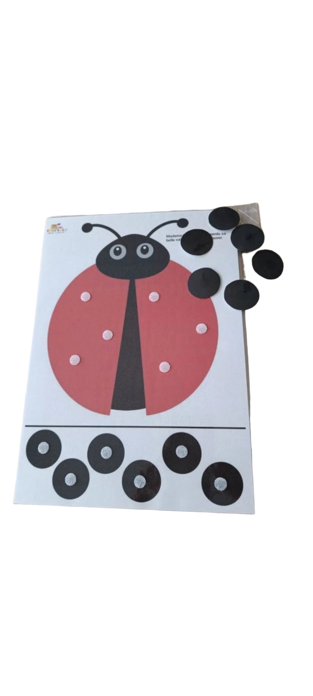 La coccinelle 🐞